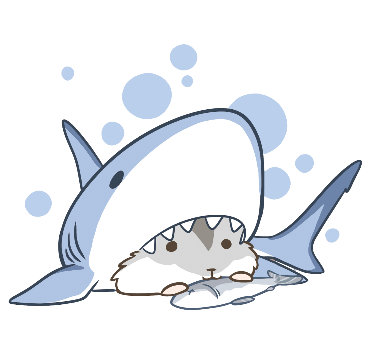 Котик в костюме акулы