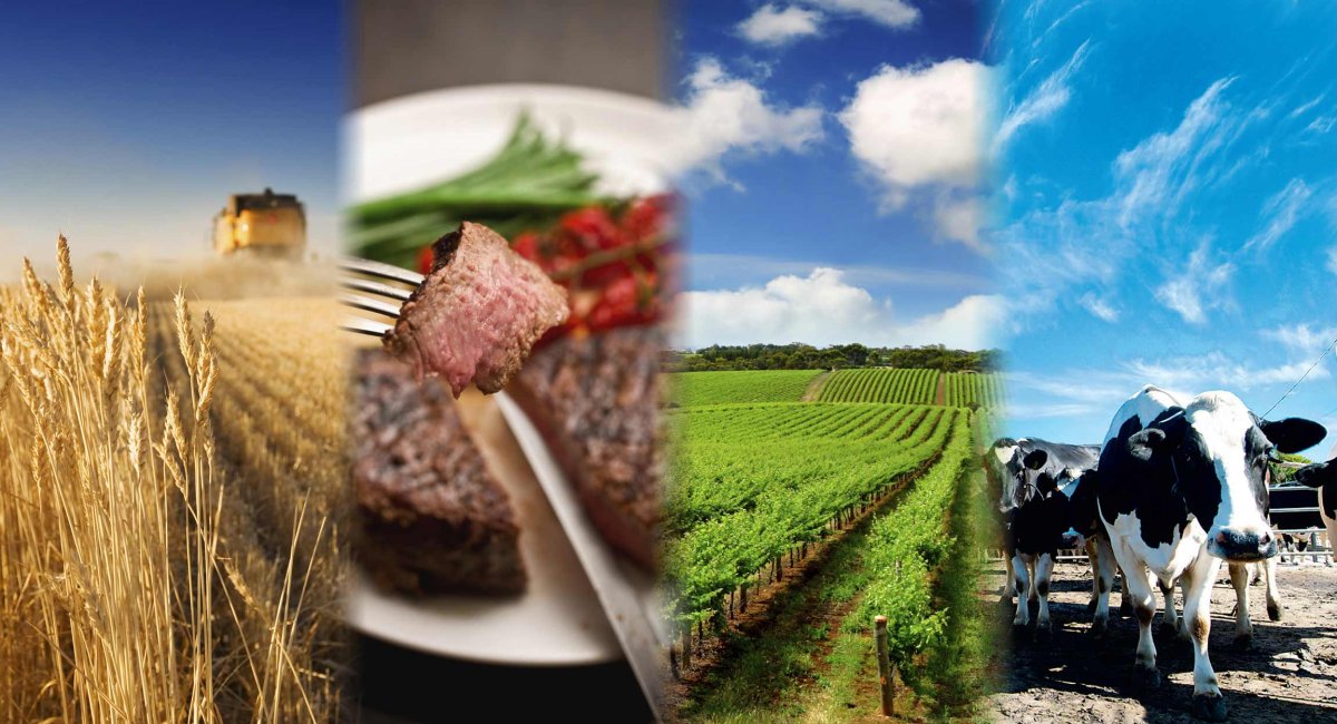 Промышленность и сельское хозяйство