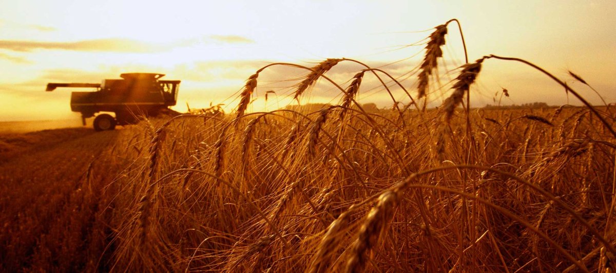 Сельское хозяйство картинки