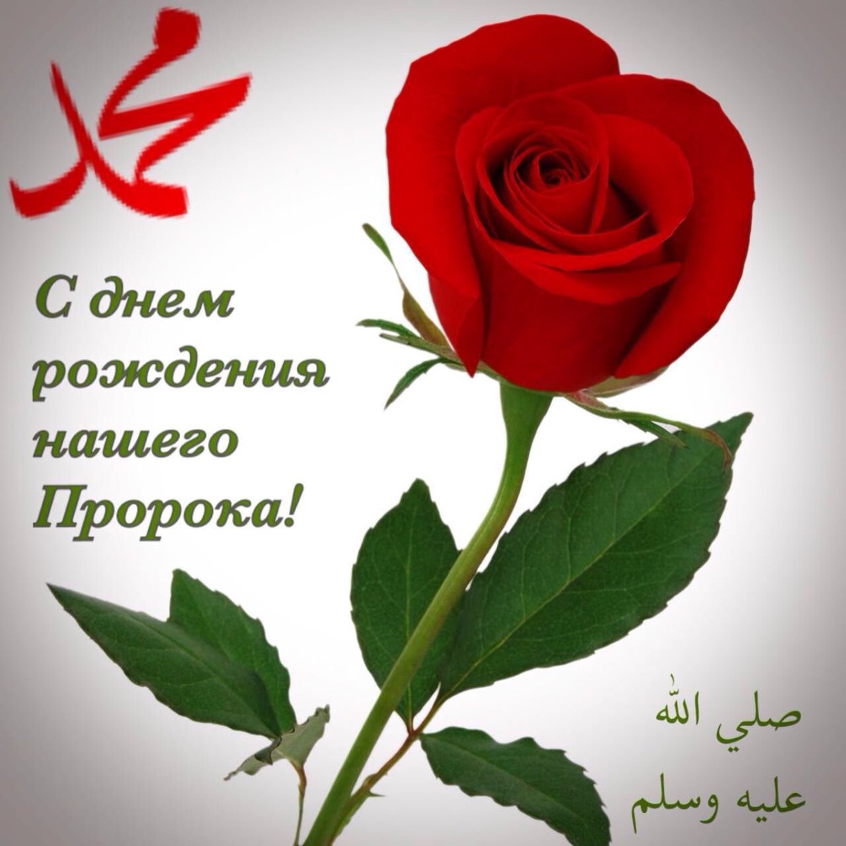 Роза в Исламе