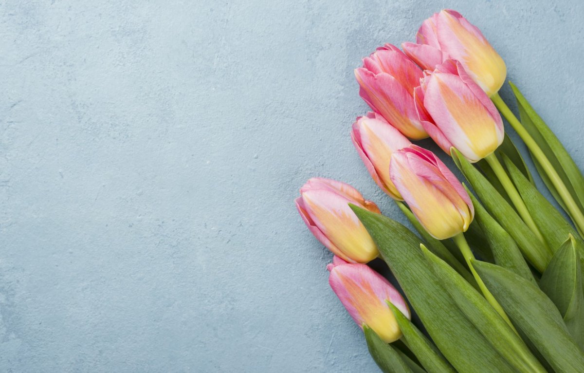 Фон с тюльпанами черно белыми для текста