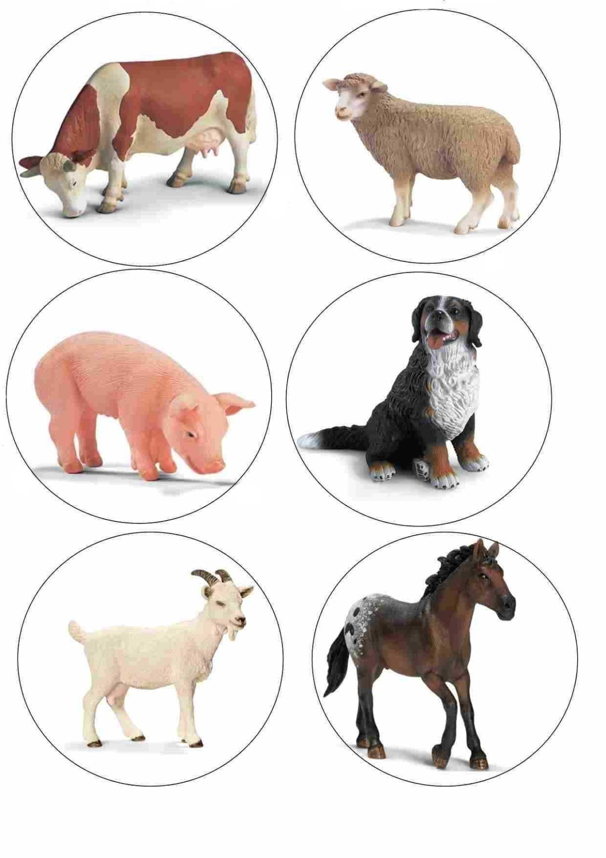 Домашние животные для дошкольников