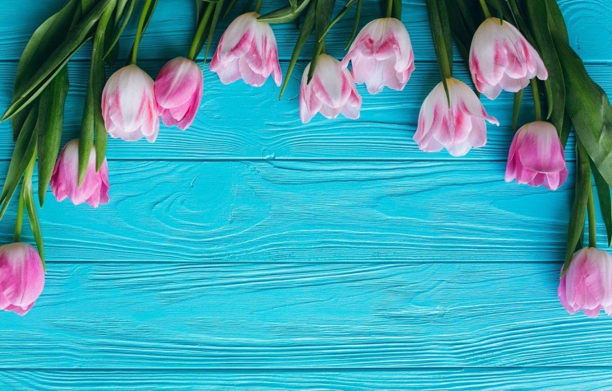 Женевское озеро горы цветы