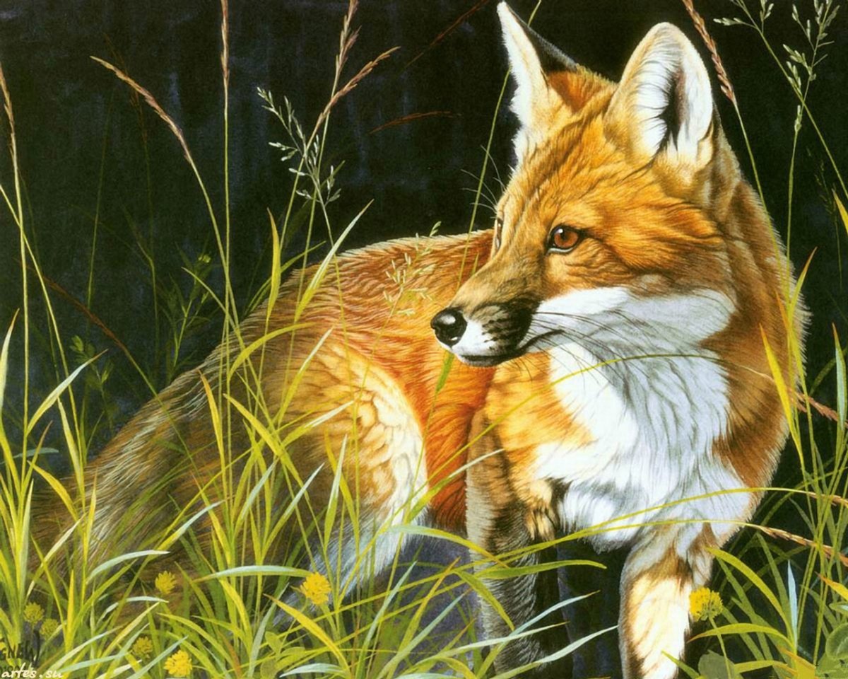 Живопись животные