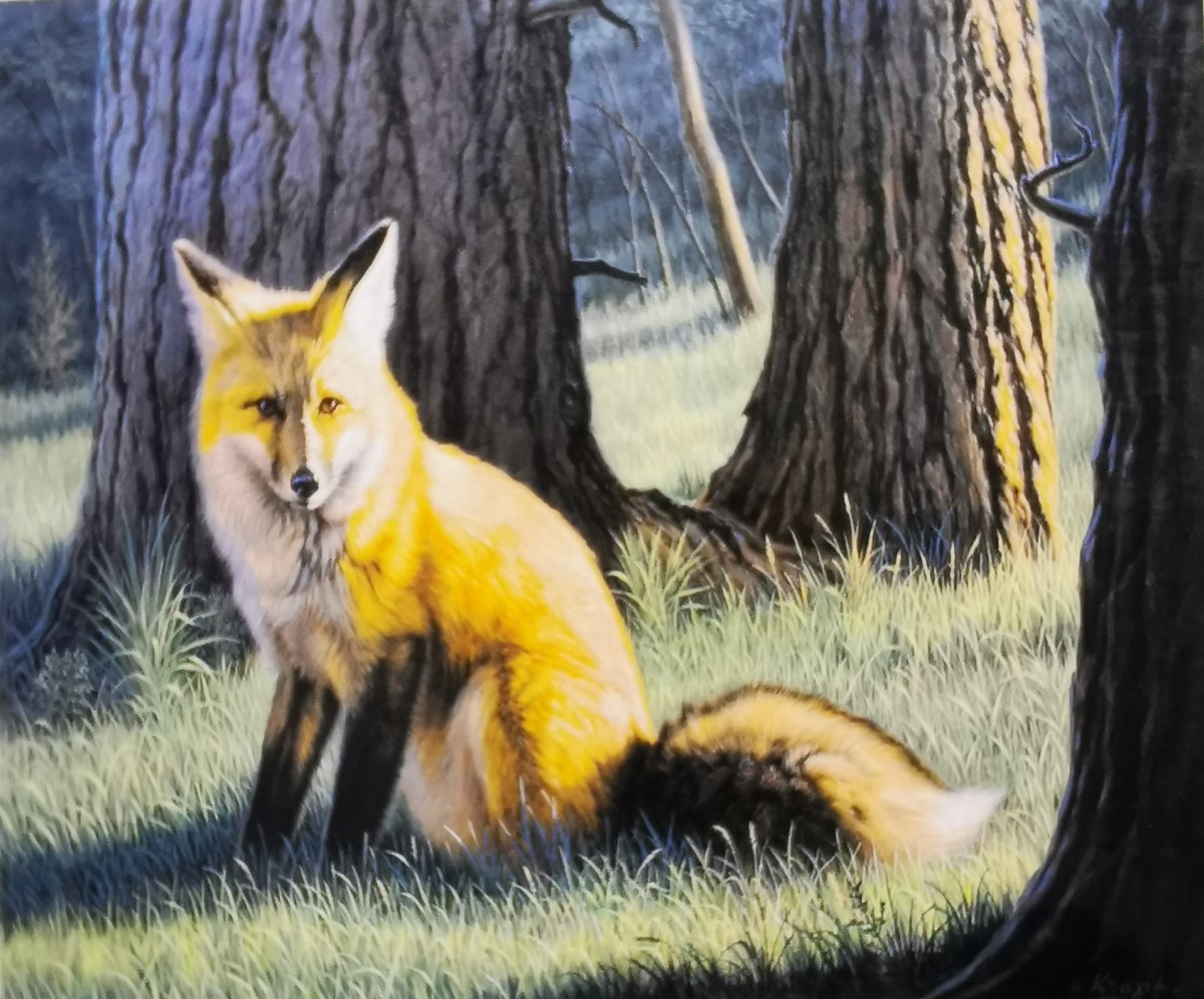 Картины художников анималистов лисы