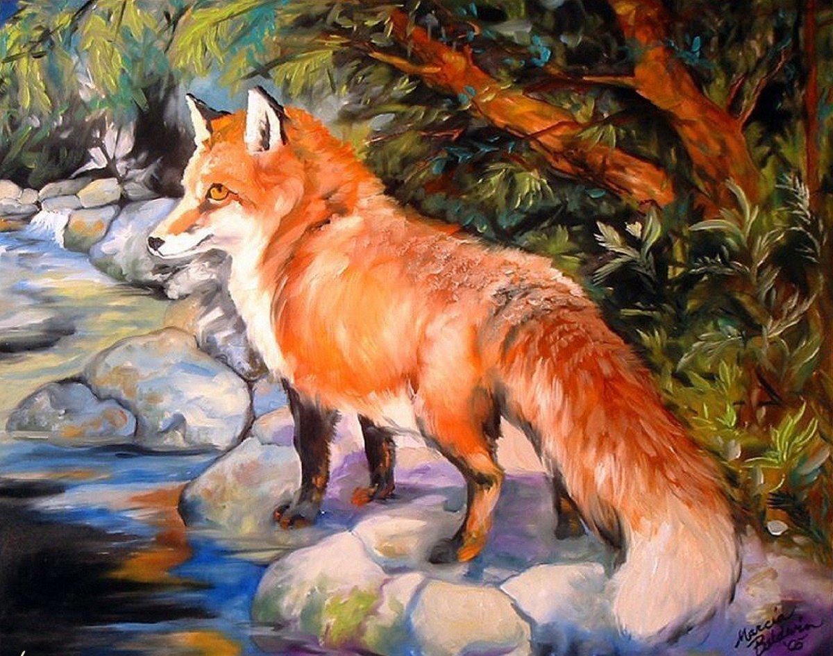 Художник Marcia Baldwin Лисичка