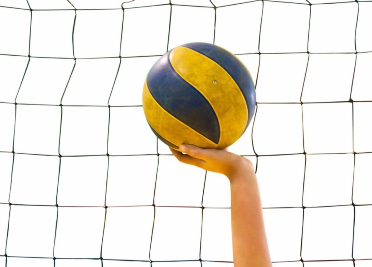 Волейбол мультяшный