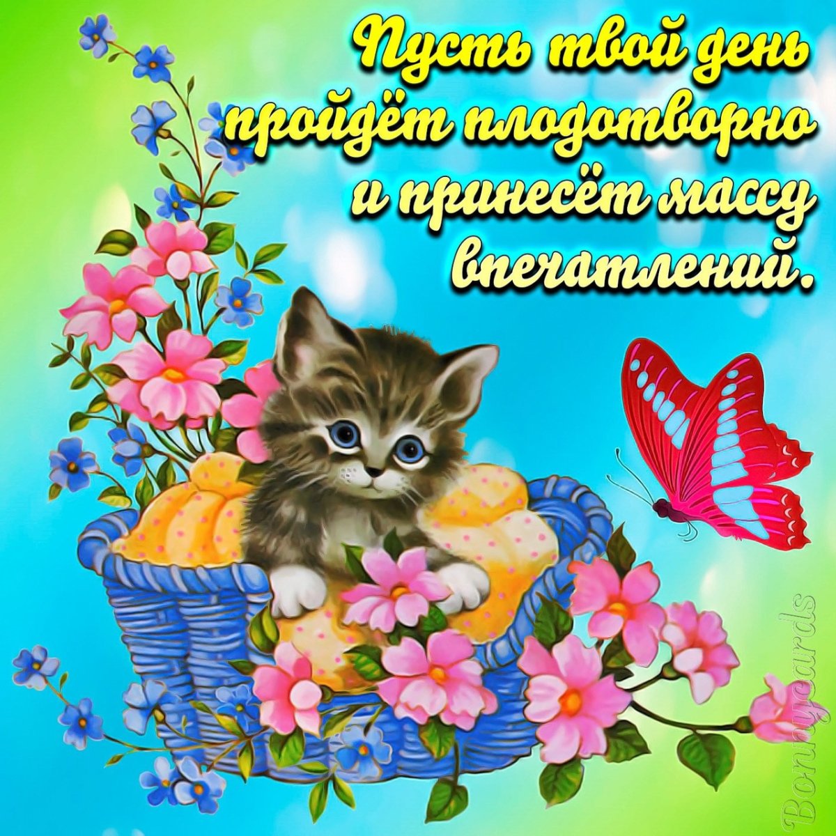 Открытки с пожеланиями