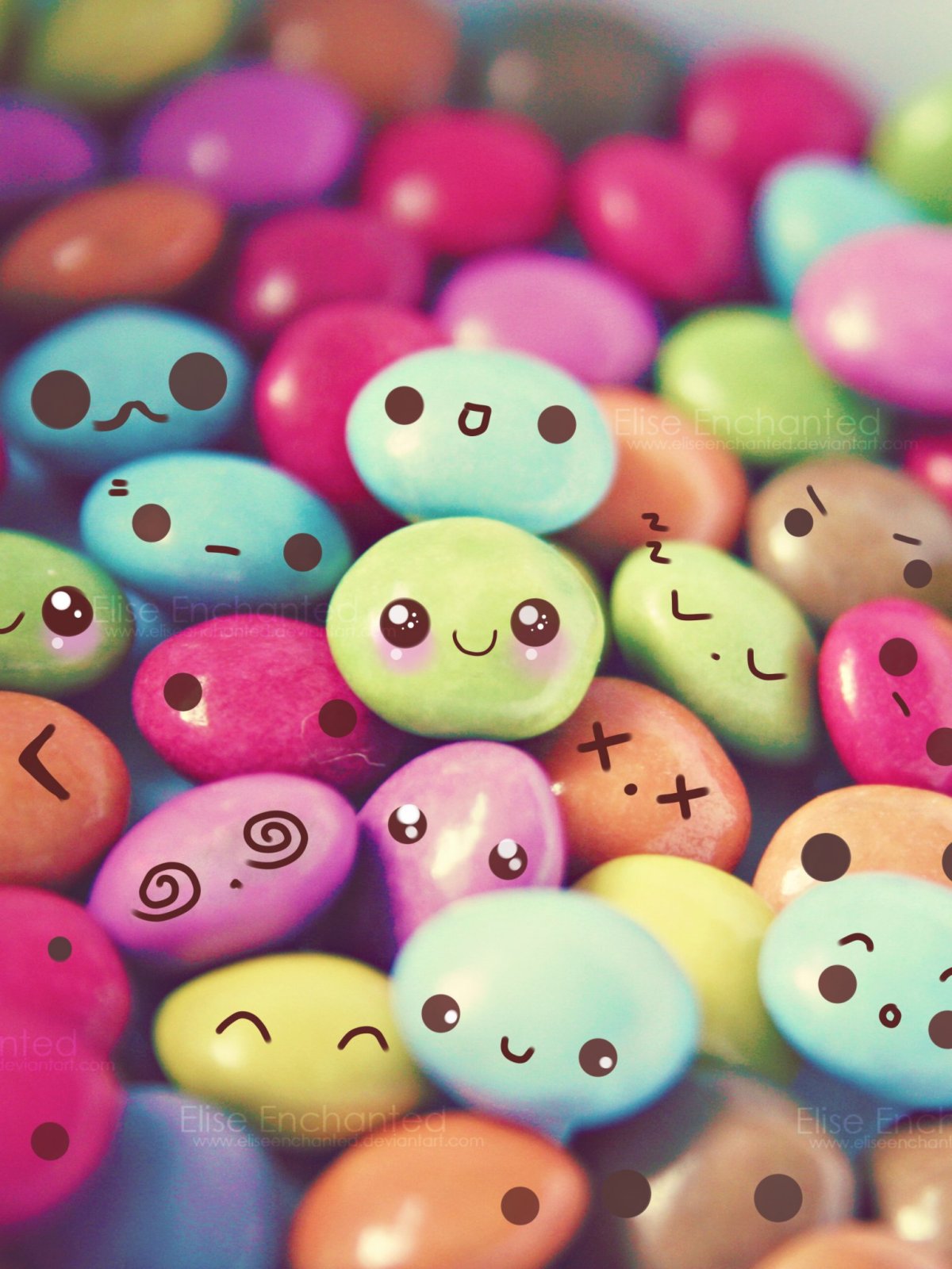 Кот с бабочкой на носу