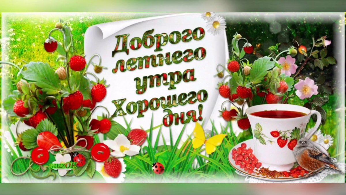 Чудесные открытки с добрым утром