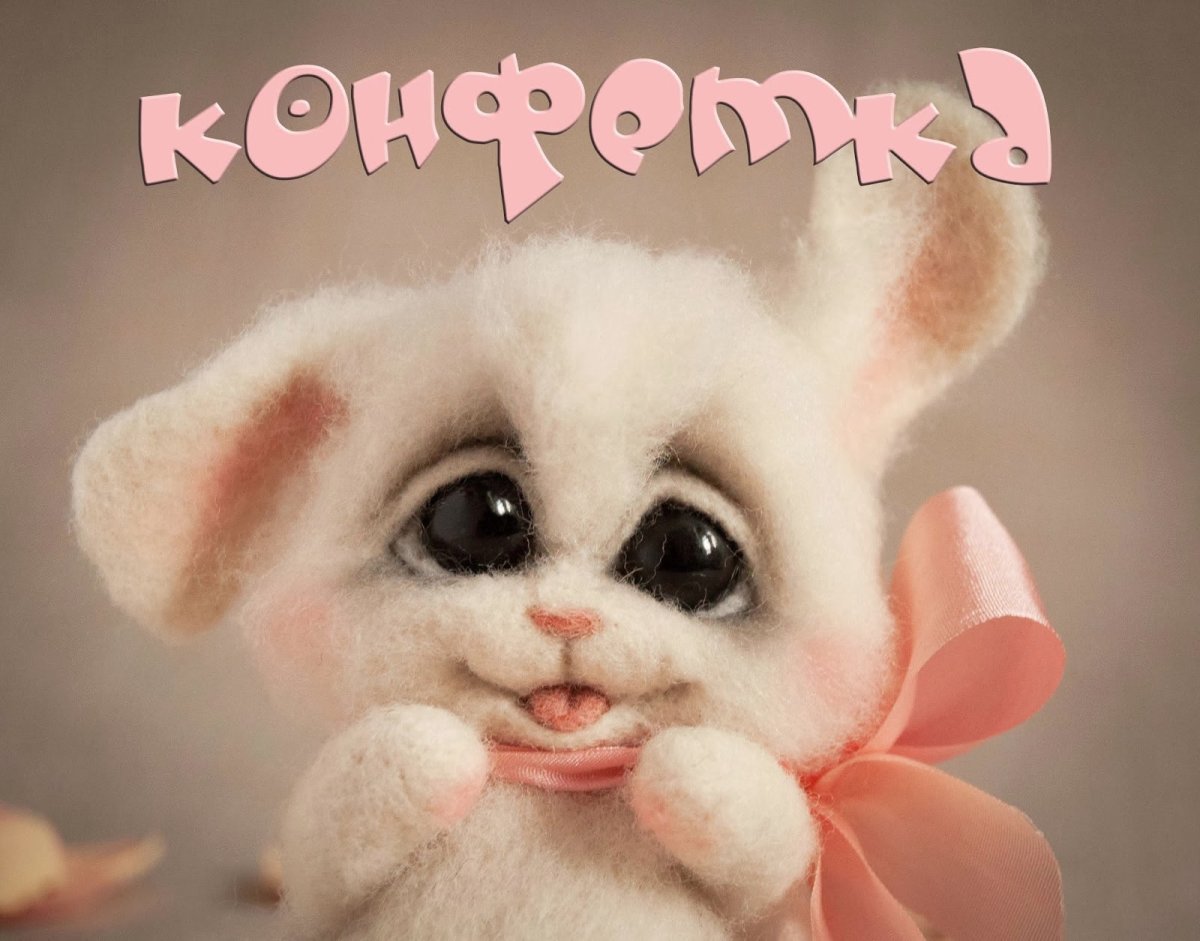 Люблю тебя зайчик