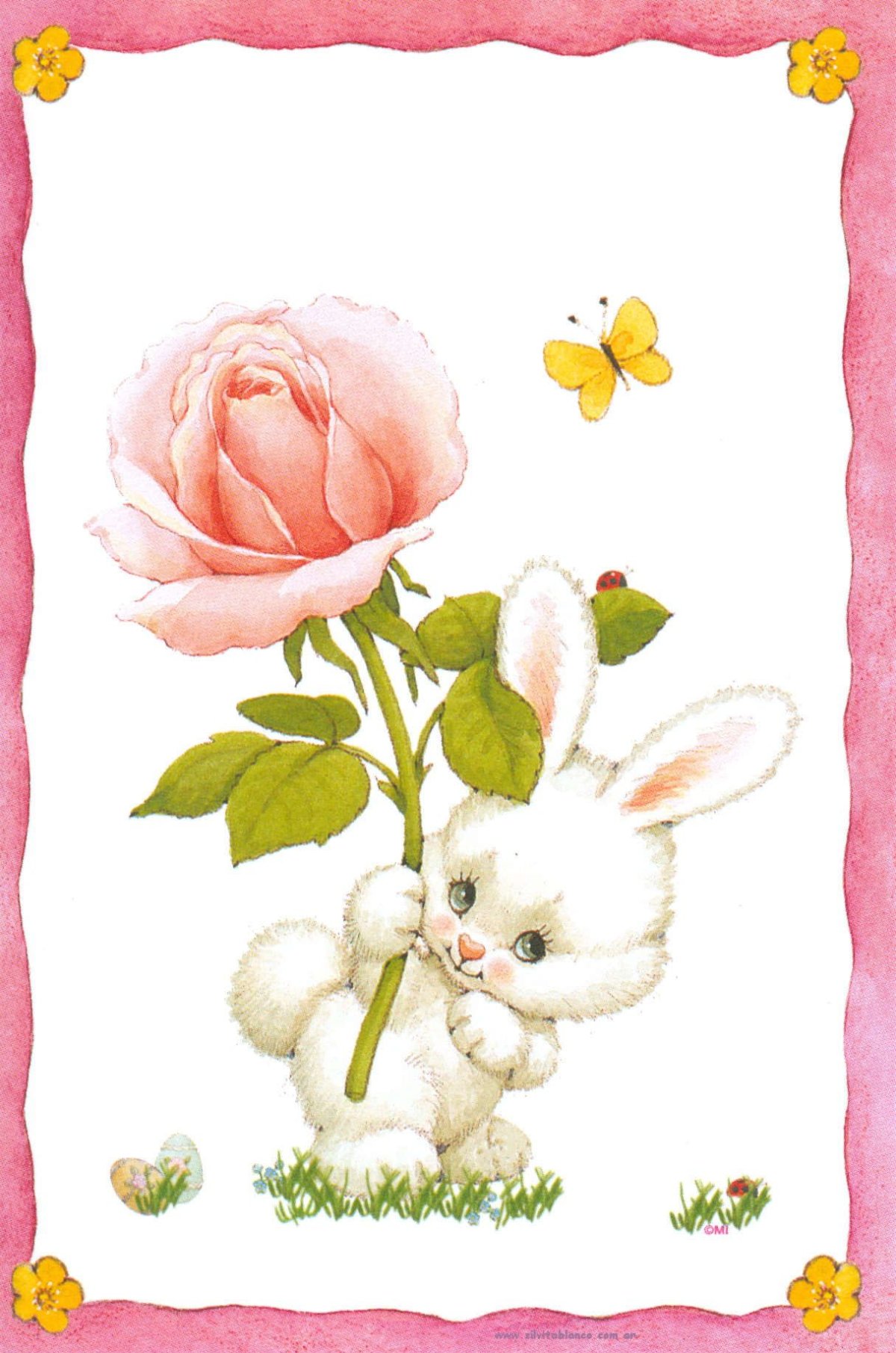 Обидели зайку