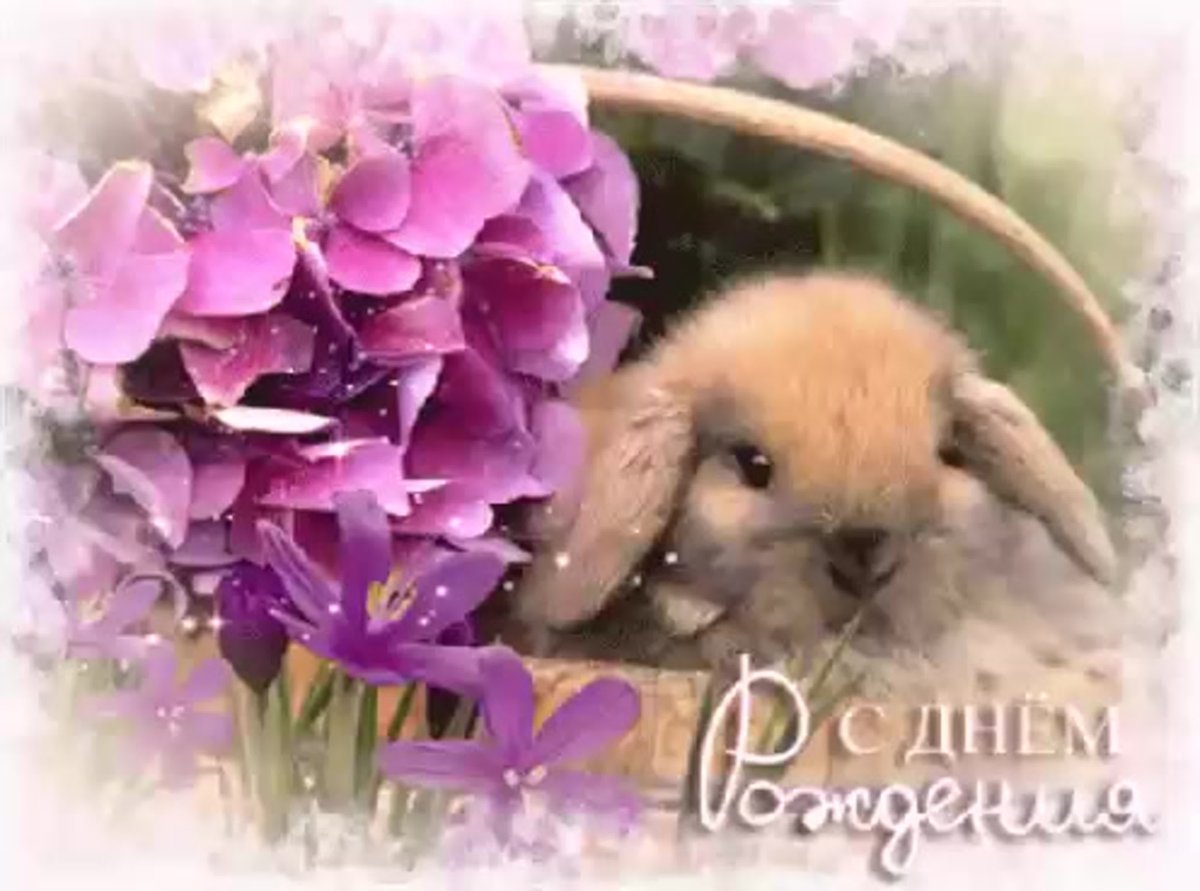 Зайка с сердечком