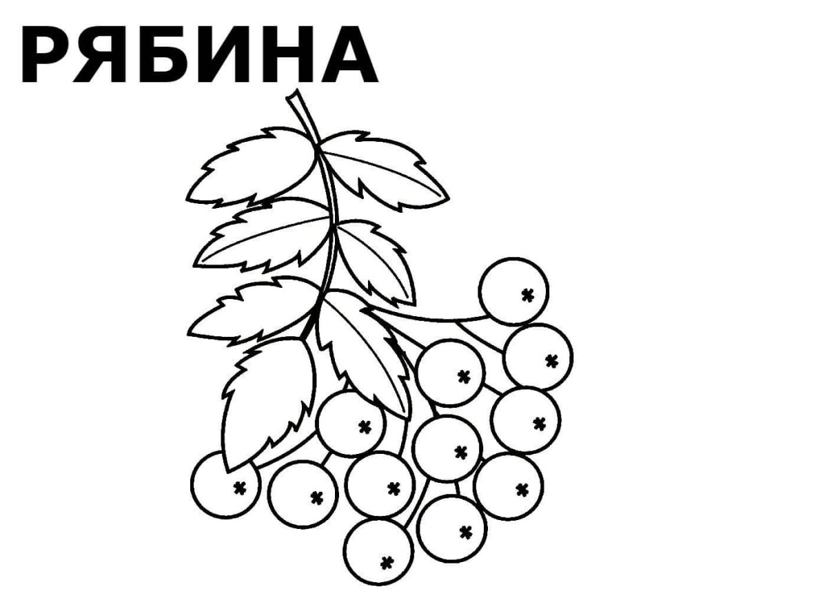 Осенняя рябина