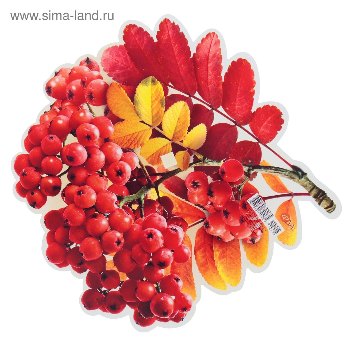 Ветка рябины рисование