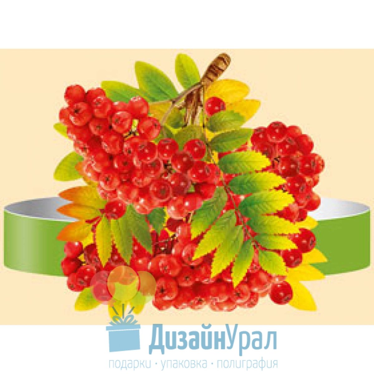 Векторные веточки с рябинками