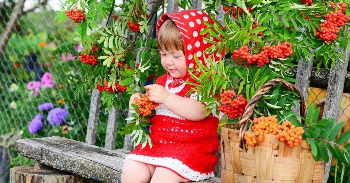 Рябина раскраска