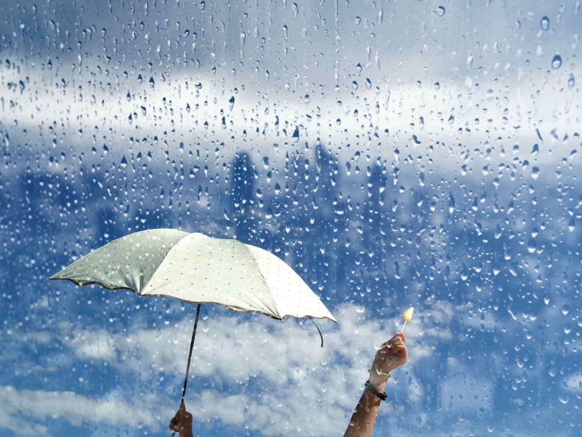 Чай и дождь за окном