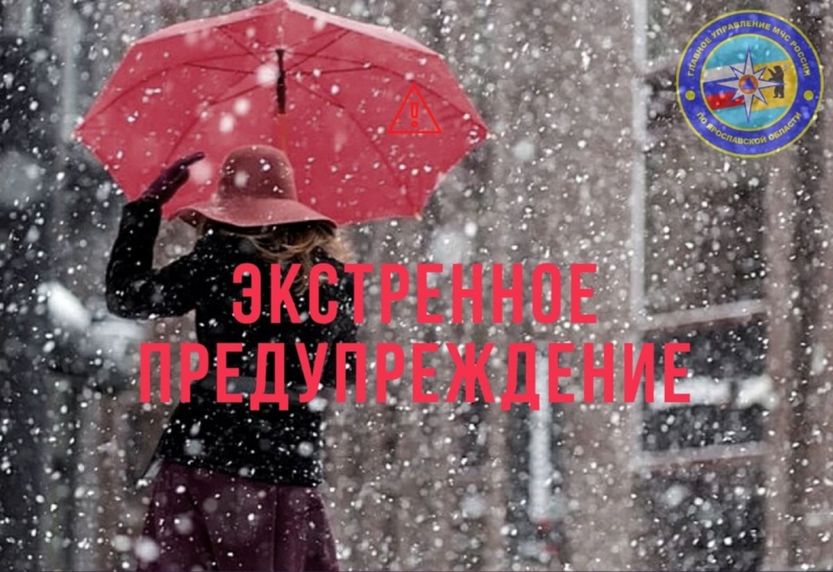 Доброе дождливое и Снежное утро