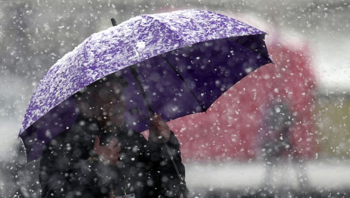 Чай и дождь за окном