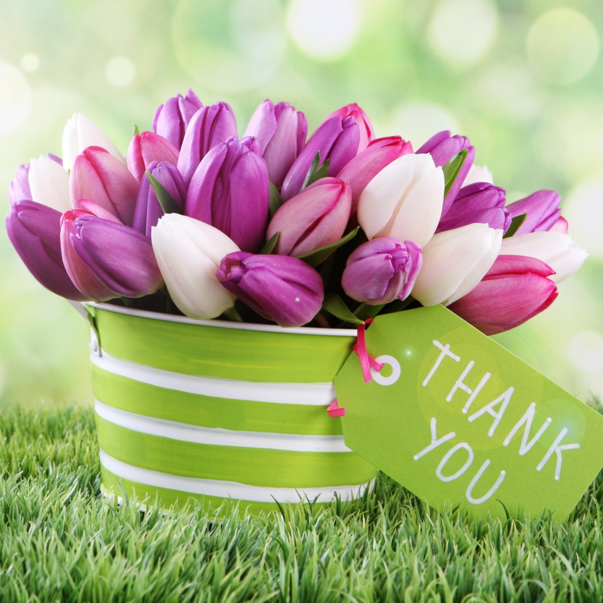 Тюльпаны и кофе