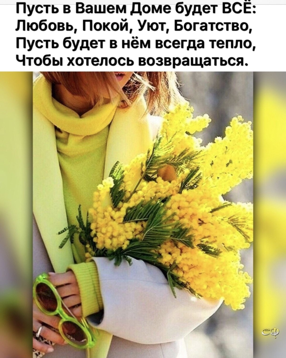 Фиолетовые тюльпаны кофе