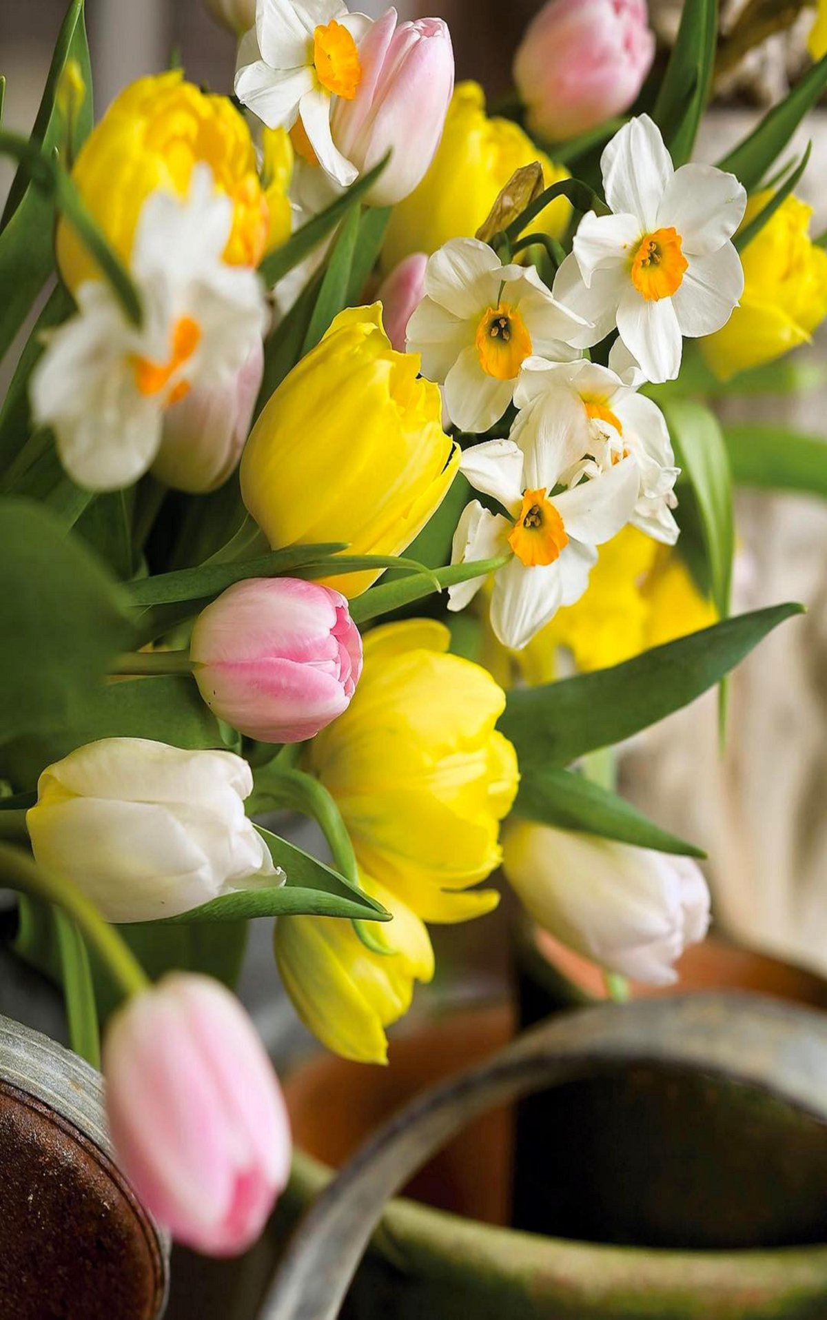 Утренние весенние цветы