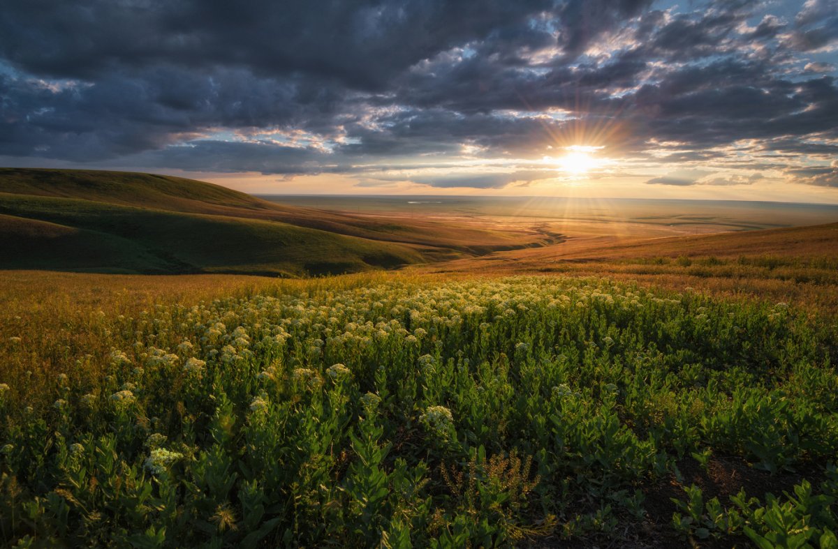 Федор Лашков ковыль степь горы