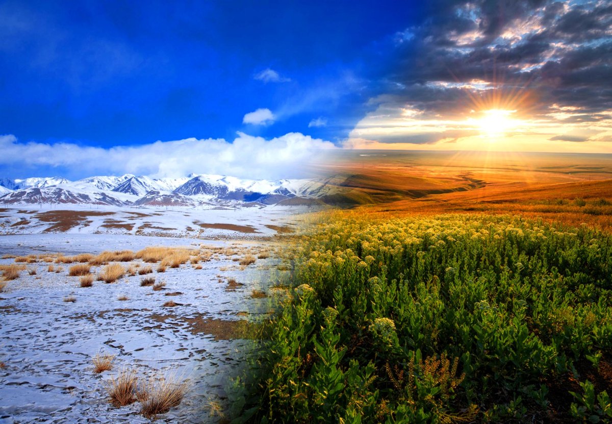 Тундра – Тайга – Саванна – степь - пустыня