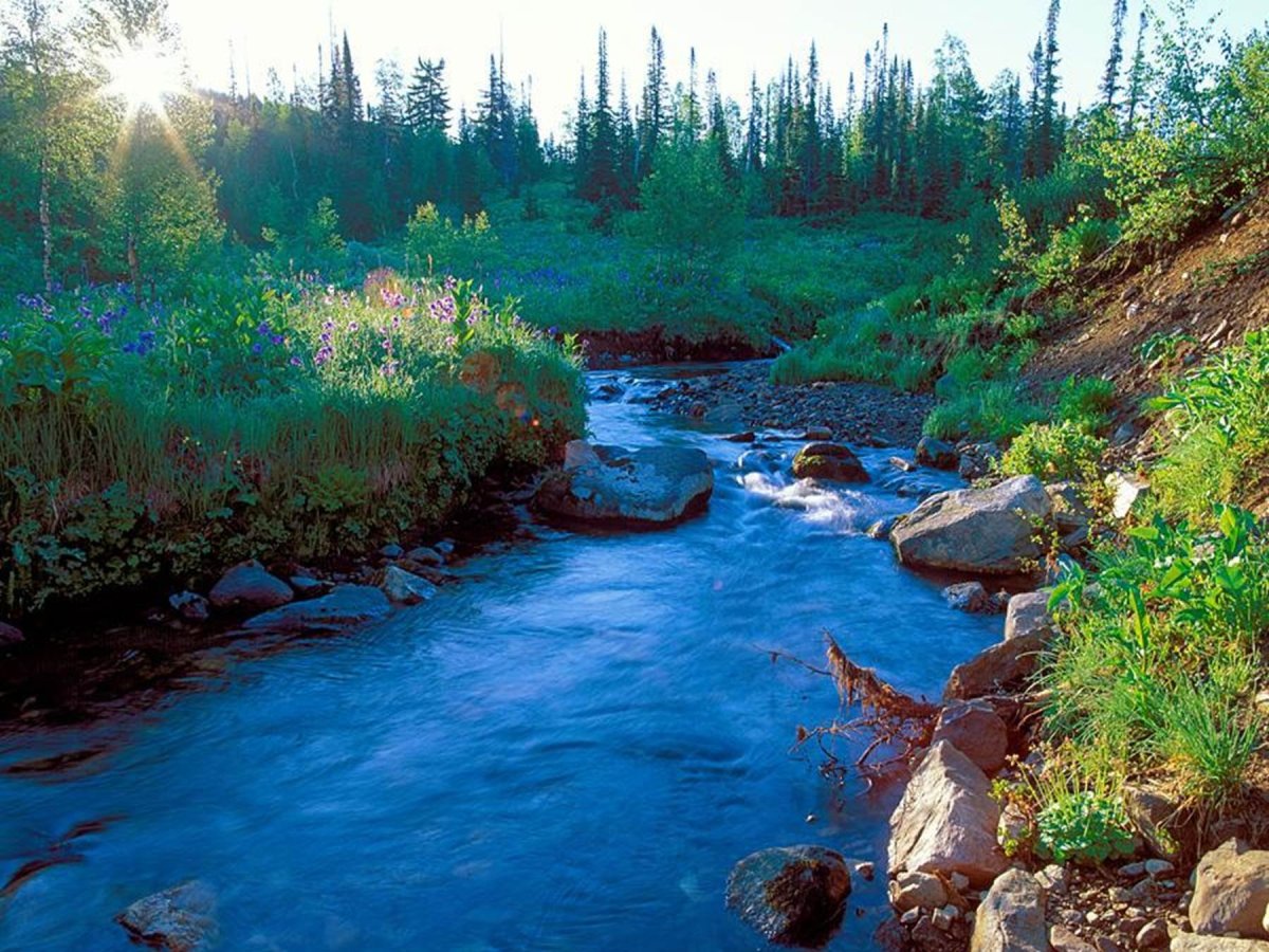 Кузнецкий Алатау природа