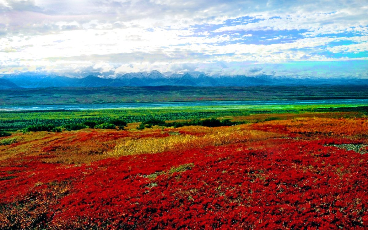 Денали Аляска