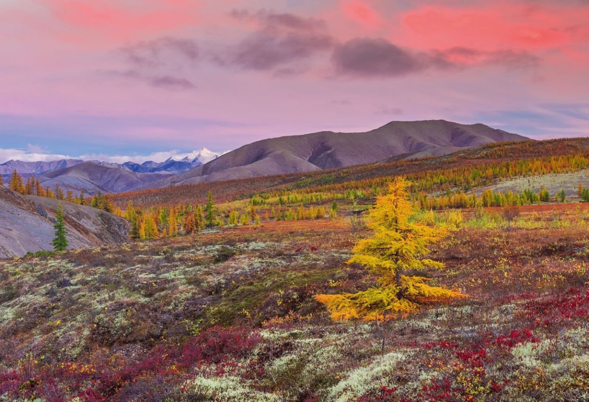 Усть-Янский улус природа