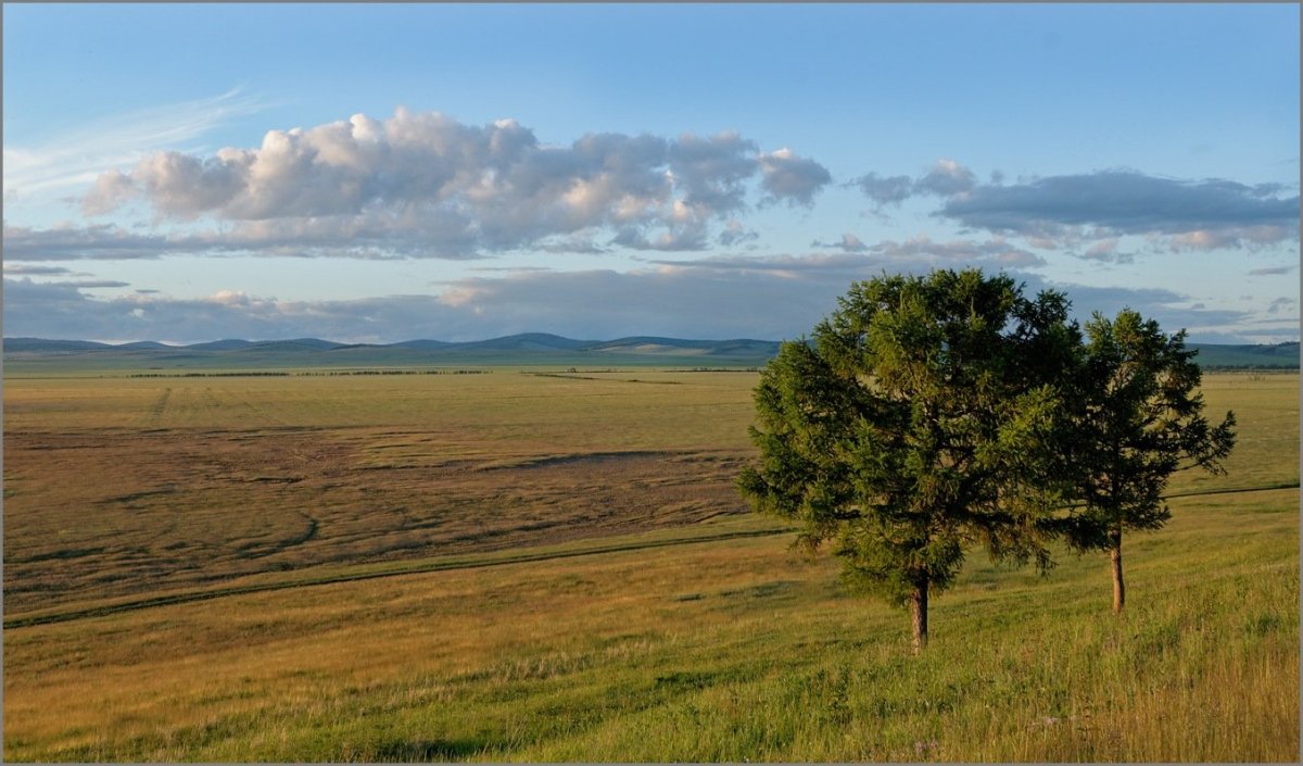 Лесостепь Казахстана