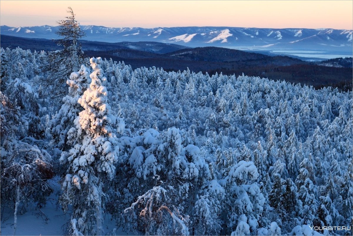 Тайга зимой