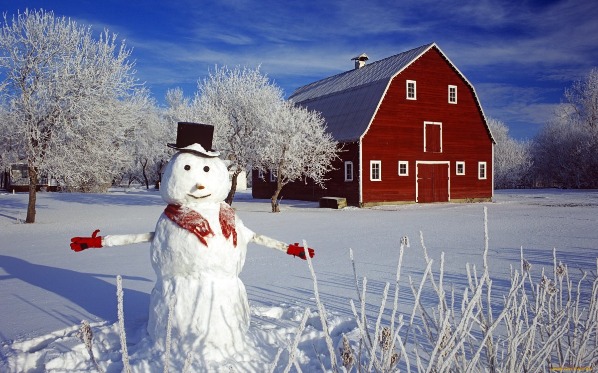 Зима Снеговик