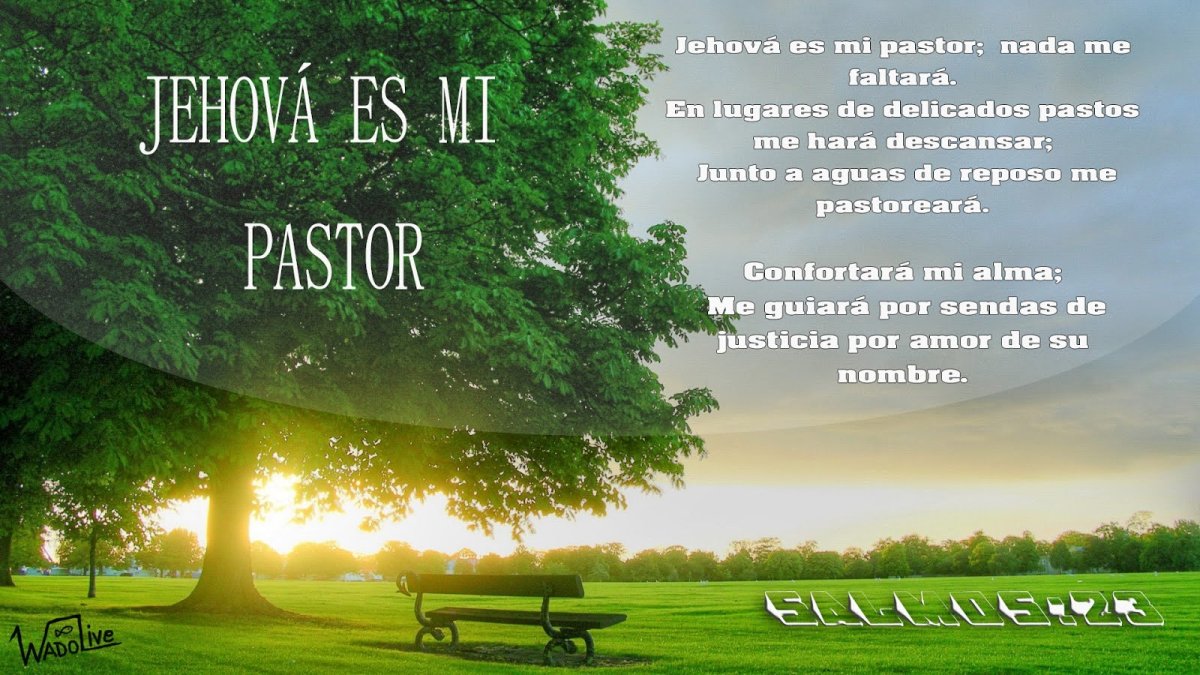 Добрые пожелания и высказывания