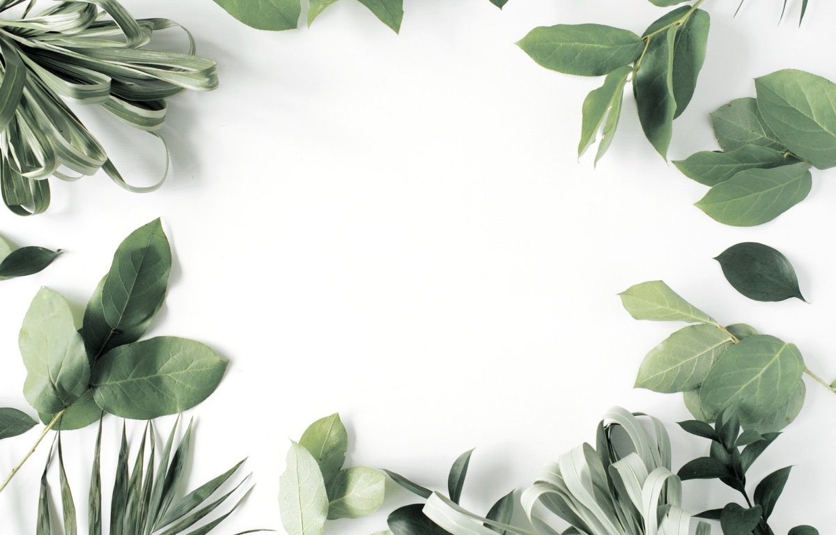 Зеленый фон для инстаграмма