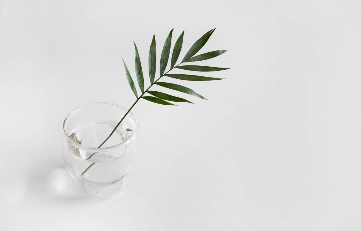 Листья Минимализм