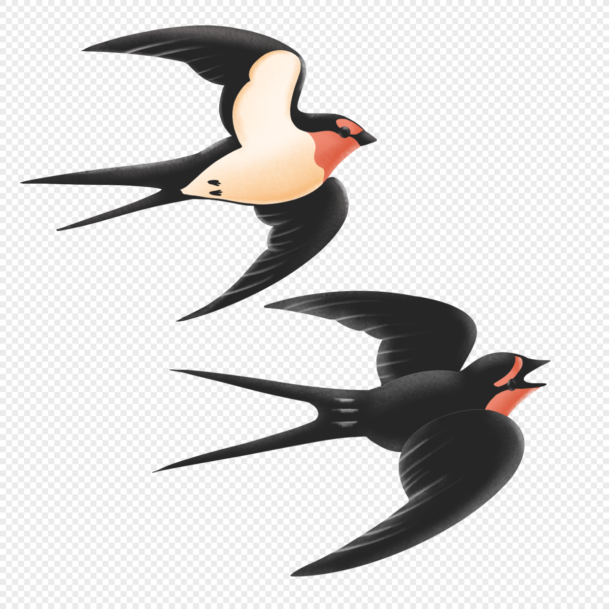 Ласточка картинка на прозрачном фоне