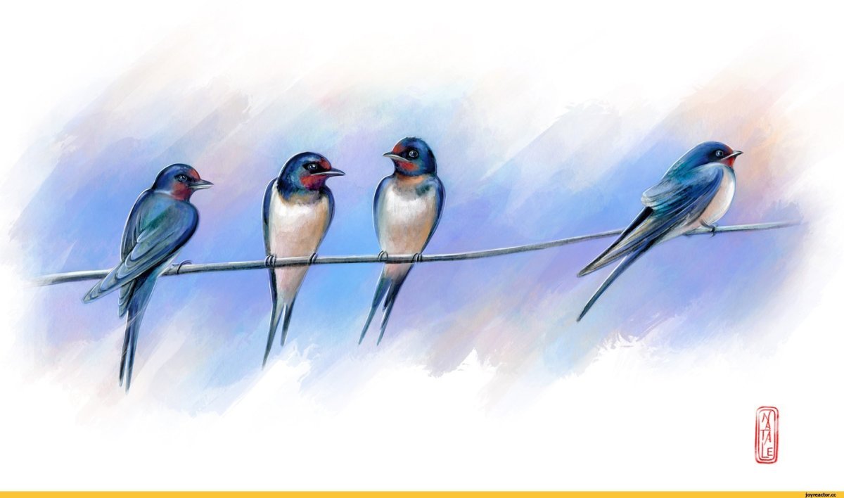 Ласточка на ветке