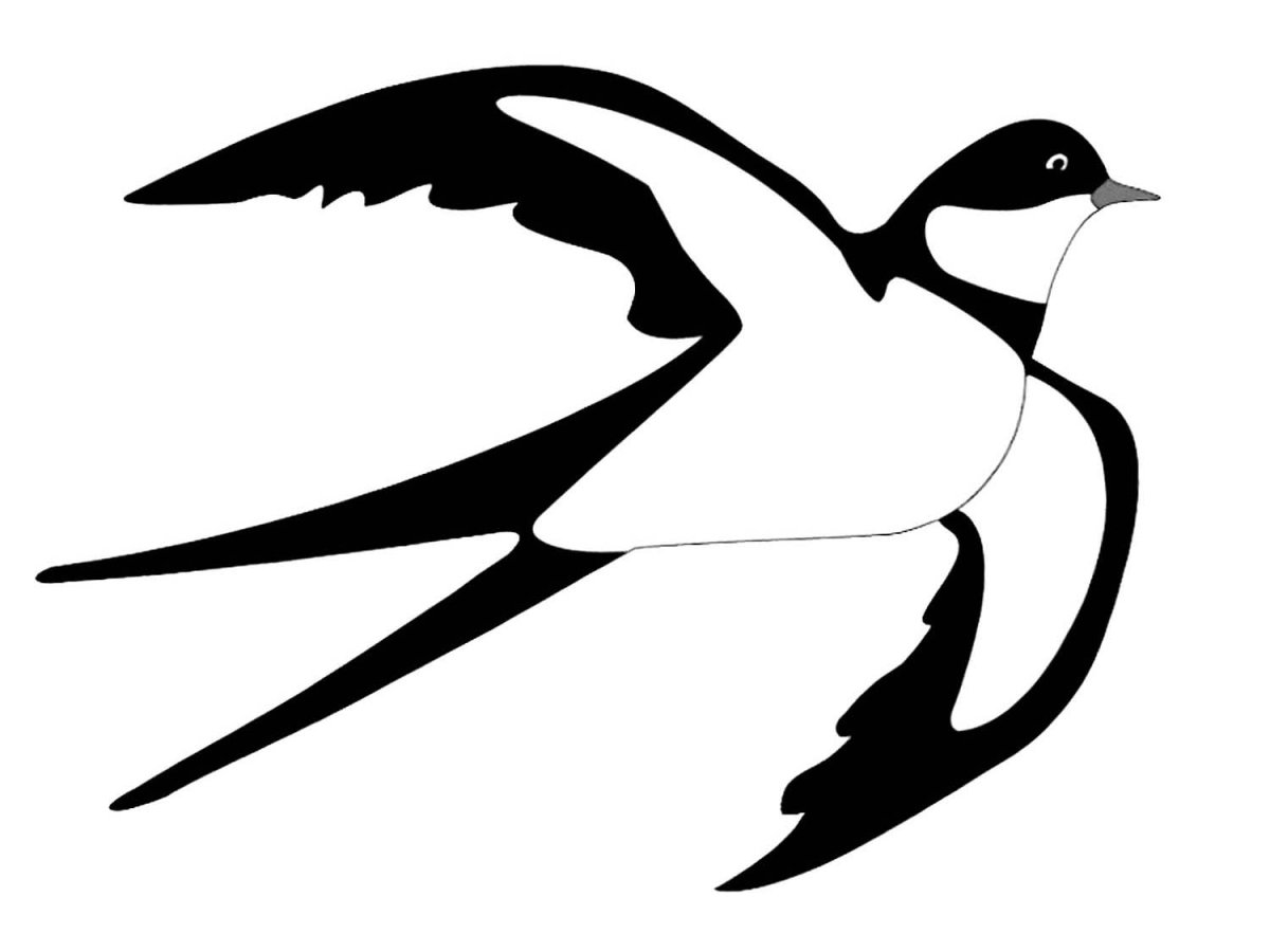 Трафарет птицы