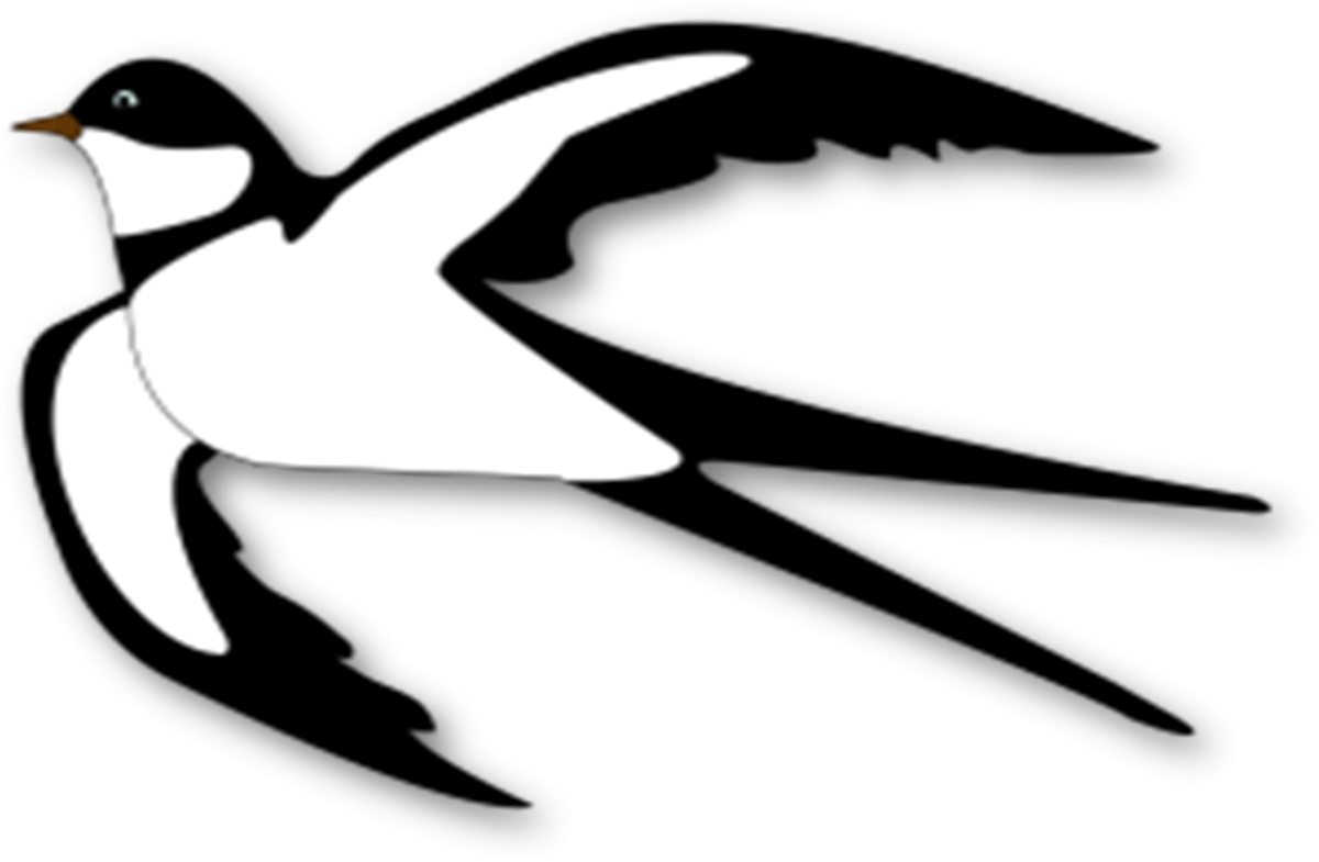 Ласточка для детей