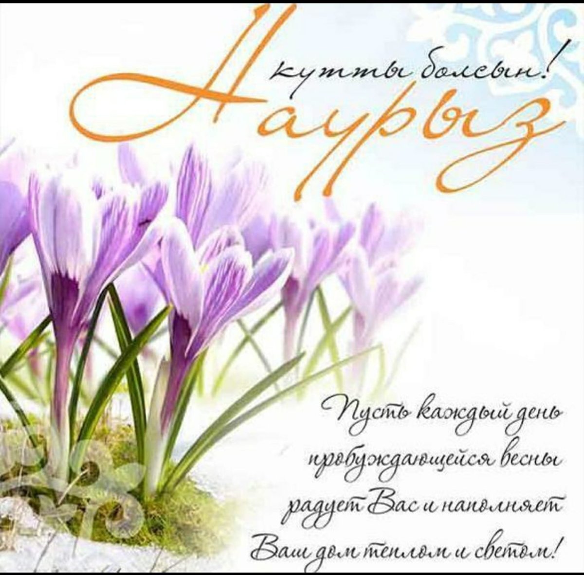 Открытки с праздником Наурыз в Казахстане