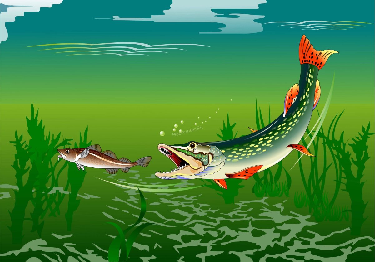 Щука мультяшный