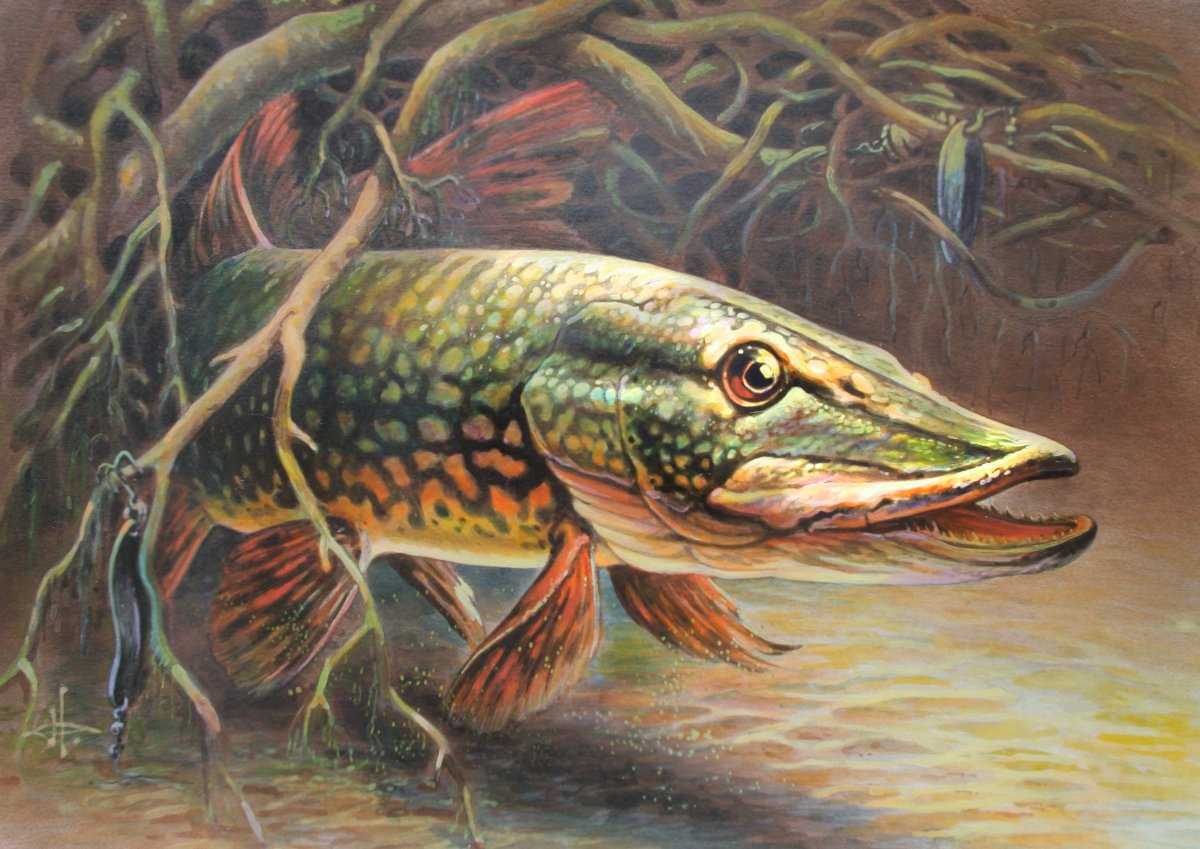 Щука мультяшный