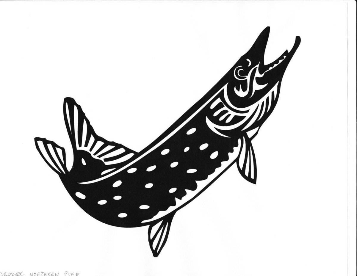 Щука раскраска