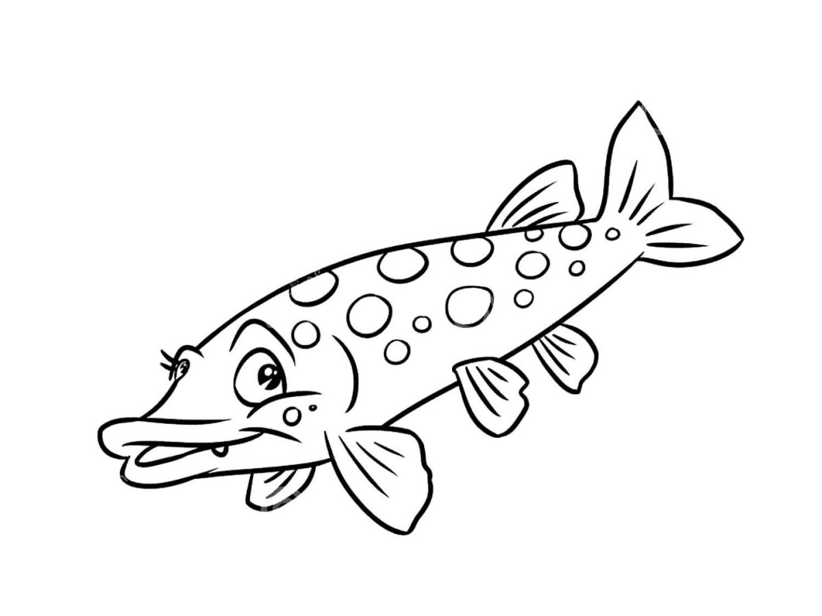 Выжигание по дереву щука