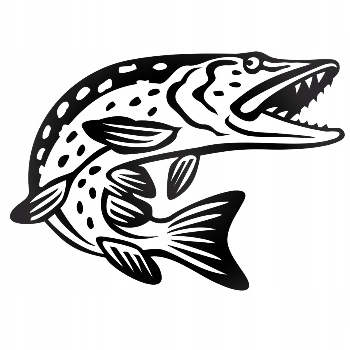 Судак рисунок