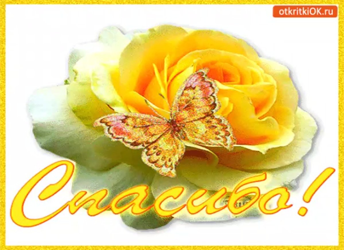 Спасибо большое очень приятно