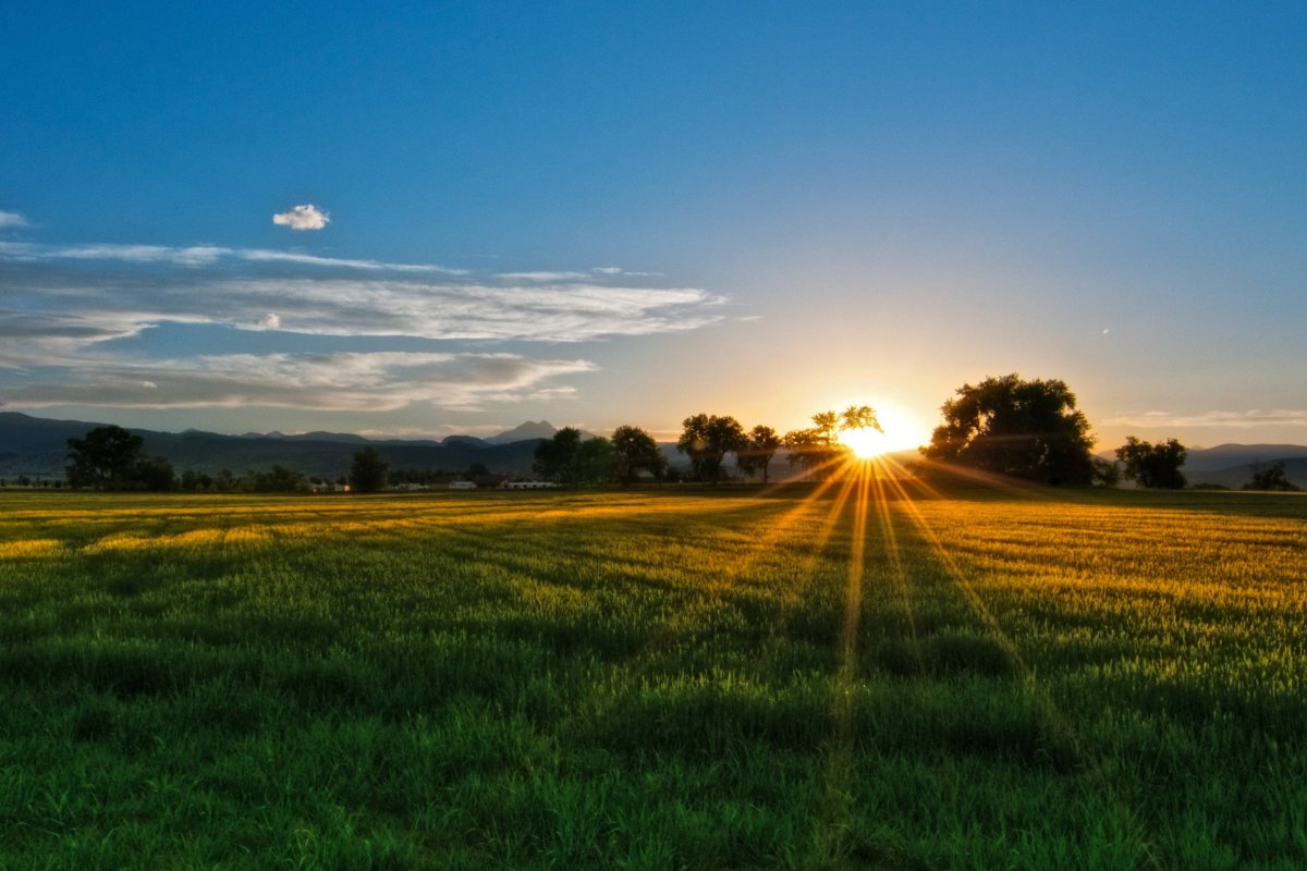 Рассвет в поле